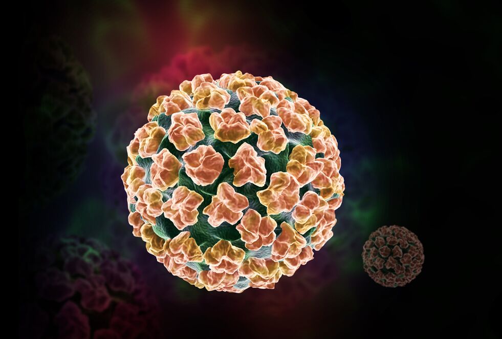 papillomavirus manusia dalam badan