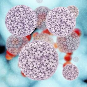 molekul papillomavirus manusia